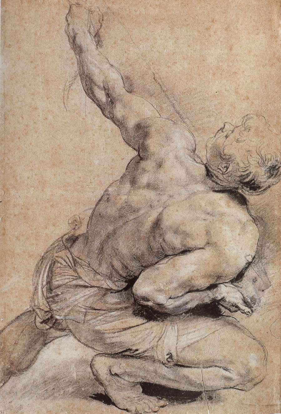 Pencil sketch of man-s back